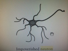 kết nối nơ ron thần kinh và fastrackids